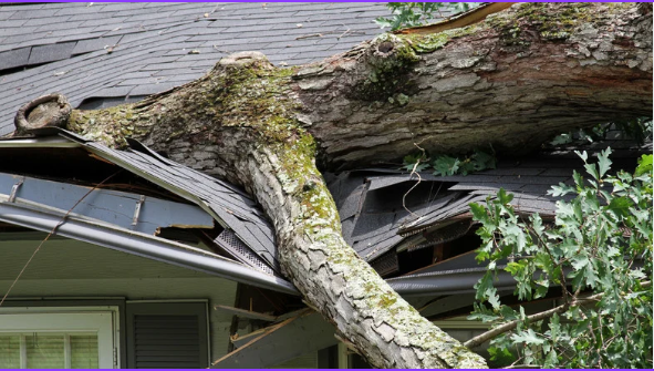 Storm Damage Repair